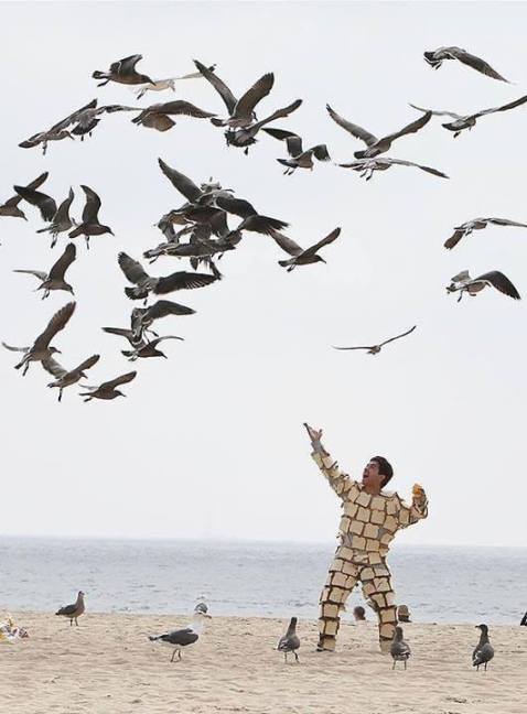 Man Fully Equipped With Bread Trying To Feed Flock Of Birds